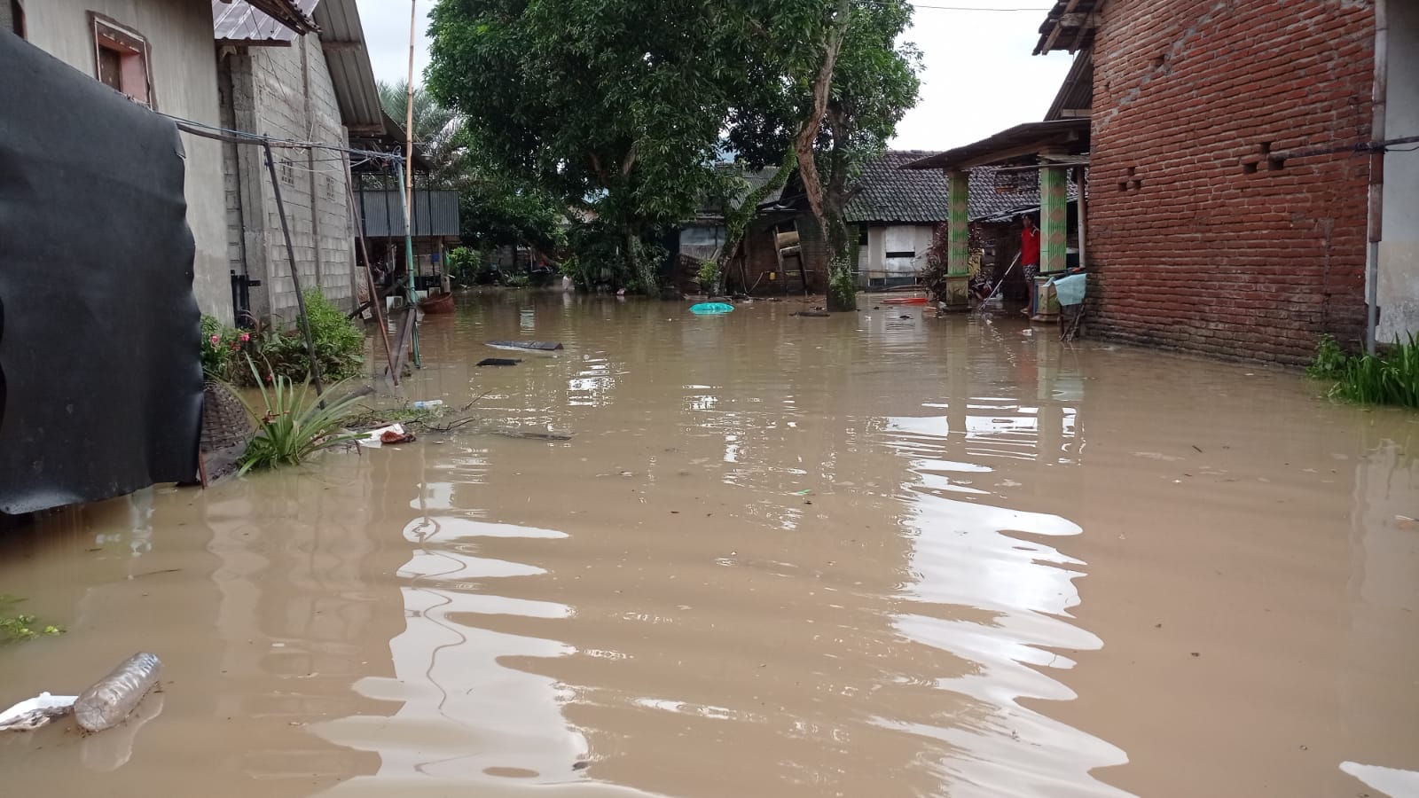 Hujan Deras Picu Banjir di Watulimo, Puluhan Rumah Terendam