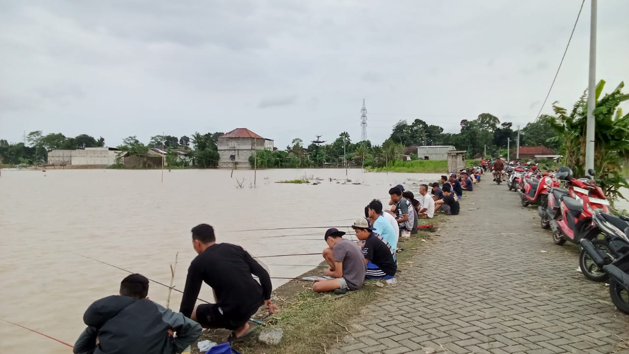 Sawah Banjir Jadi Kolam Dadakan, Warga Berburu Lele Lepas di Trenggalek