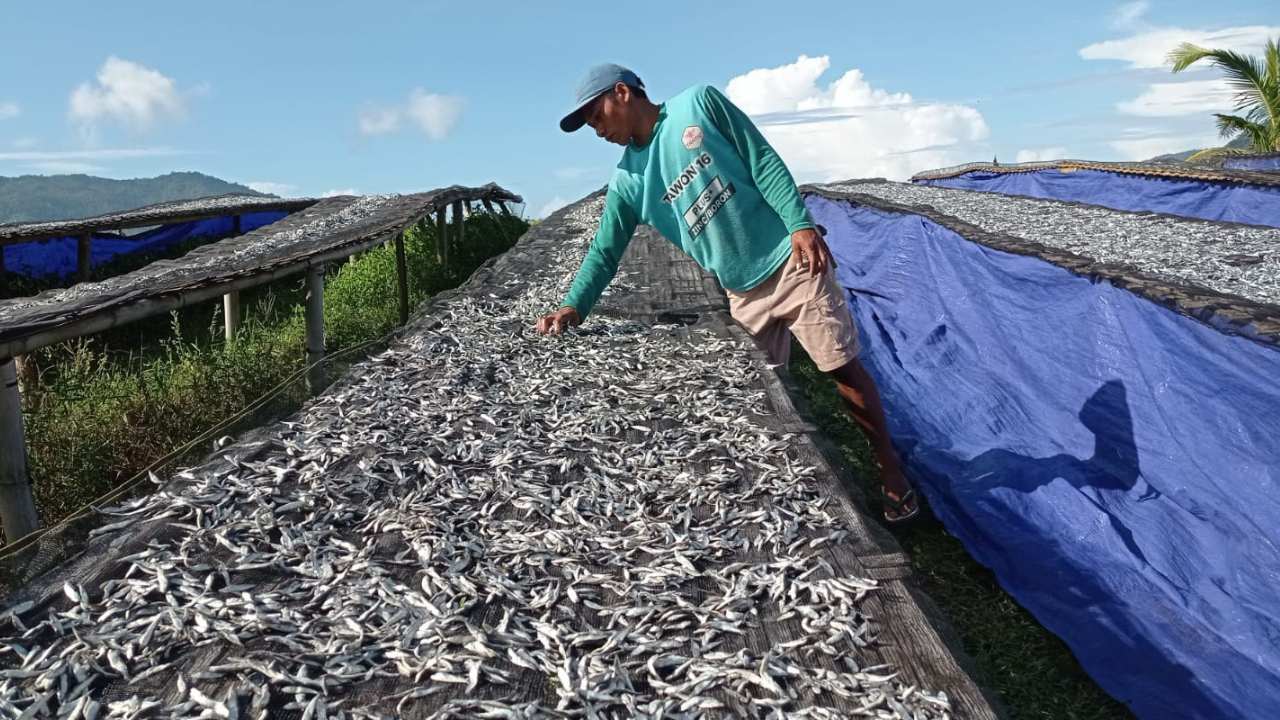 Mengolah Laut Menjadi Emas: Kisah Deni dan Ikan Kering di Pantai Prigi Trenggalek