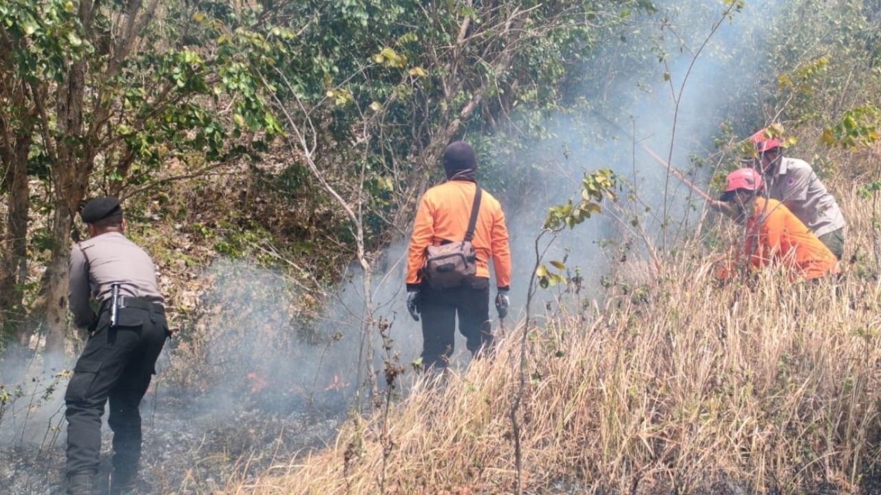 14 Peristiwa Kebakaran di Trenggalek, Lahan 11 Hektar Ikut Ludes