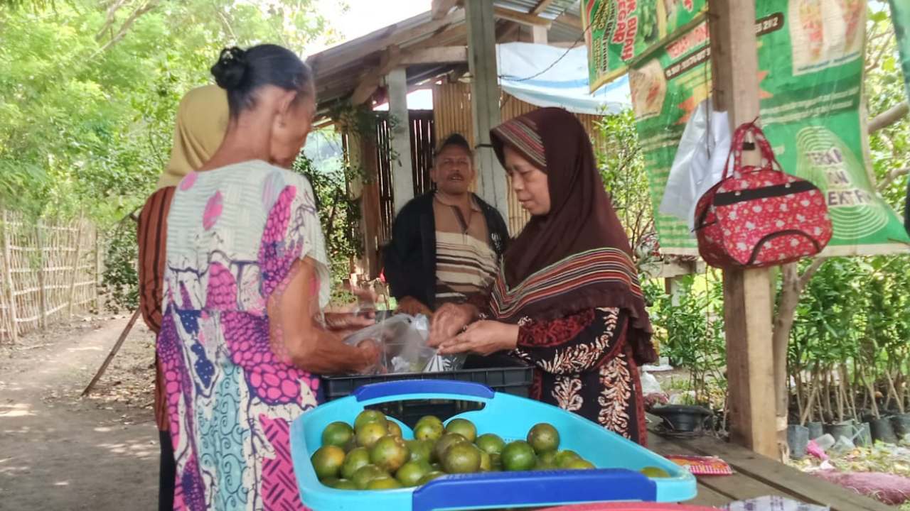 Petani Trenggalek Ubah Kebun Jeruk Jadi Agrowisata Petik Buah, Tak Lagi Bergantung Pemborong