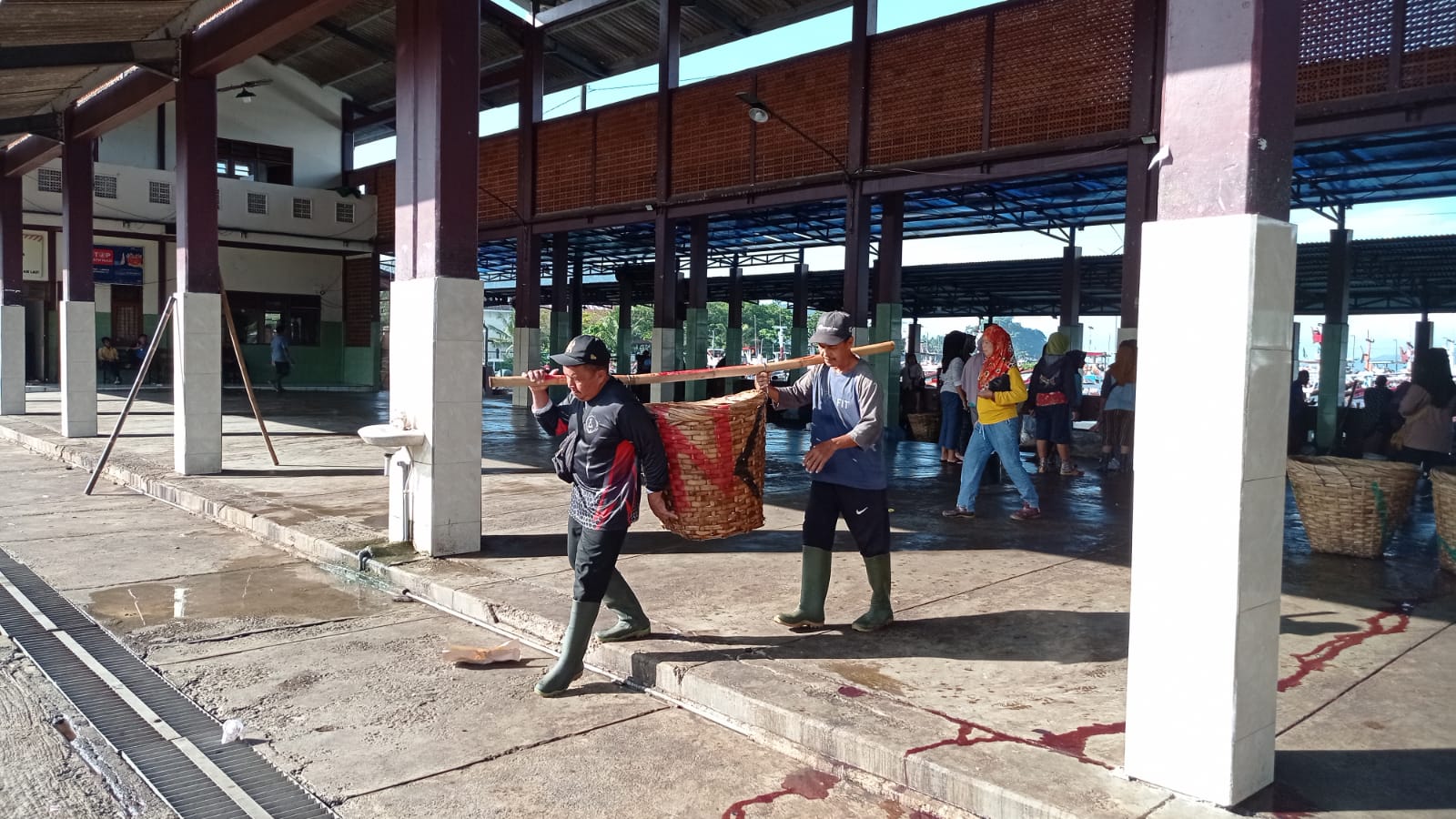 Kisah Pemikul Ikan di TPI Prigi, Angkat Ratusan Kilo Demi Nafkah Keluarga