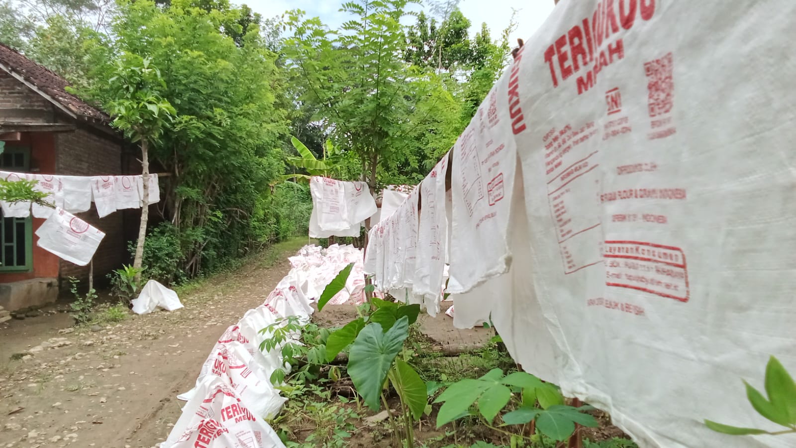 Tak Lagi Merantau, Sugeng Hidupi Keluarga dari Cuci Karung Bekas di Trenggalek