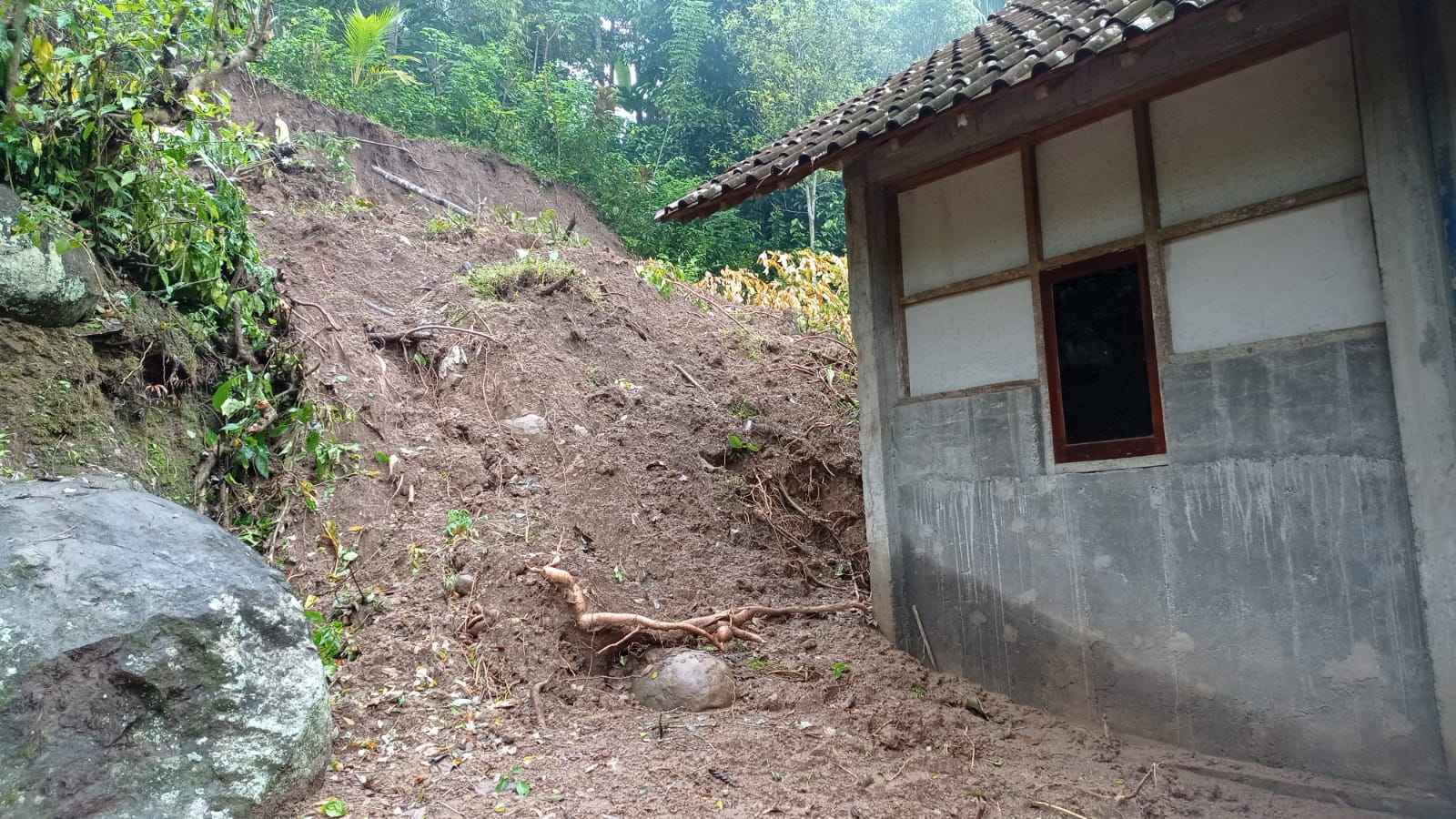 Longsor Hantam Rumah Warga di Sawahan Trenggalek, Warga Mengungsi