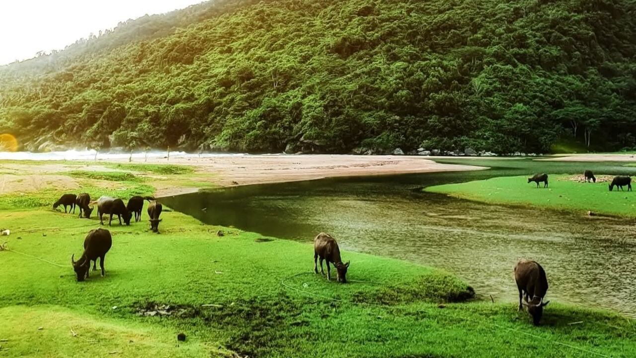 11 Desa di Munjungan: Potensi Pertanian, UMKM, dan Wisata yang Eksotis