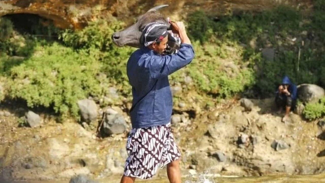 Tradisi Trenggalek yang Masih Eksis, Penarik Wisatawan Hingga Kekayaan Budaya