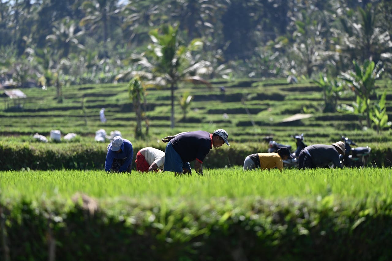 Strategi Pengembangan Desa Wisata: Mempersiapkan Desa untuk Menyambut Wisatawan