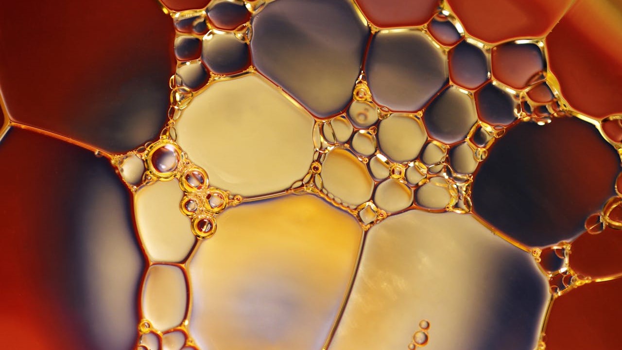 Mengenal Biodiesel, Alternatif Bahan Bahan dari Nabati