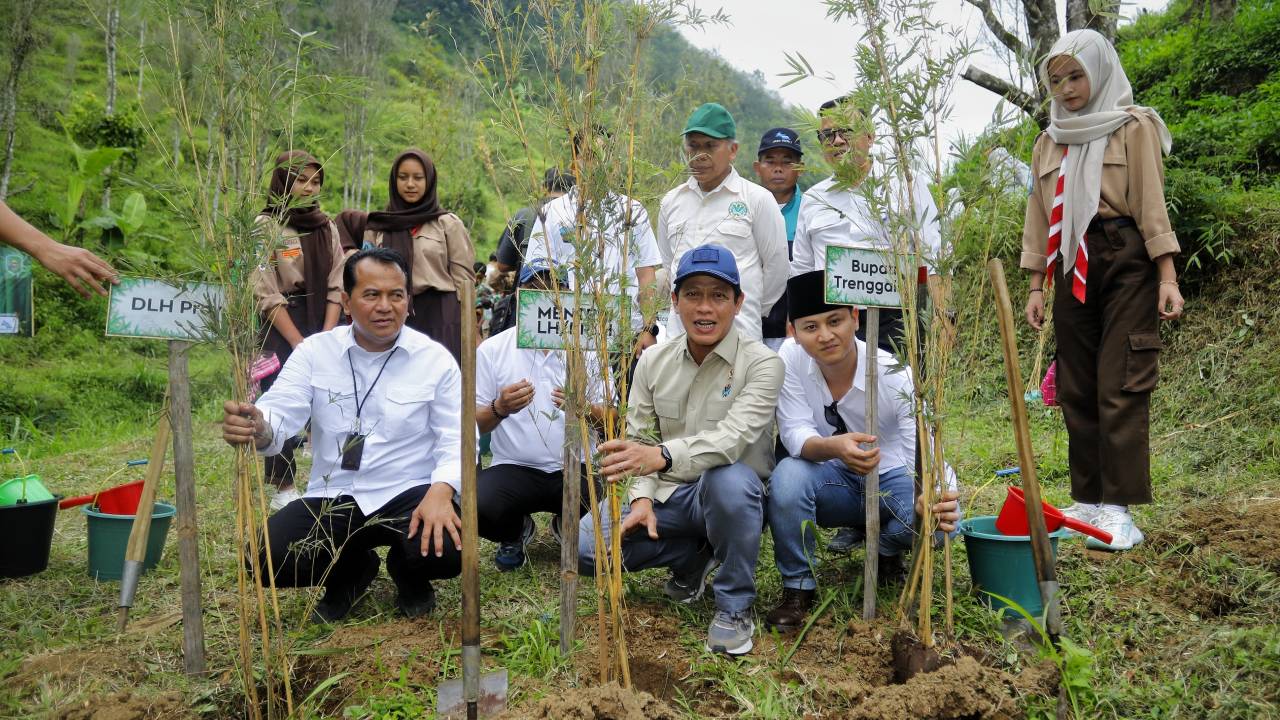 Menteri Lingkungan Hidup Tanam Bambu di Trenggalek, Sejumlah 20 Ribu Bibit