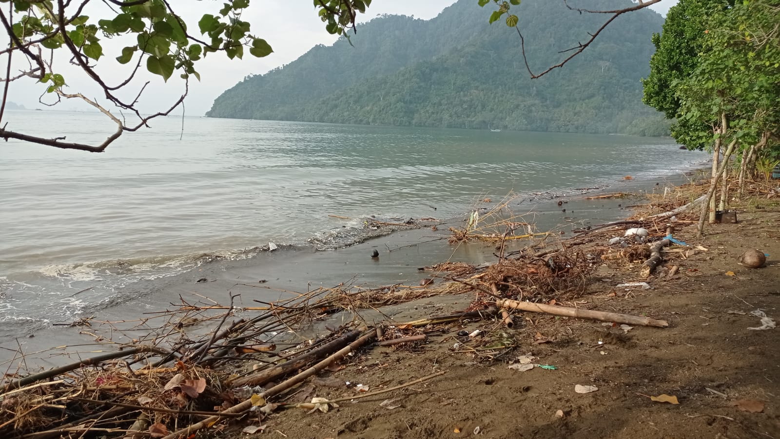 Sampah Sungai Penuhi Bibir Pantai Cengkrong Usai Banjir Watulimo