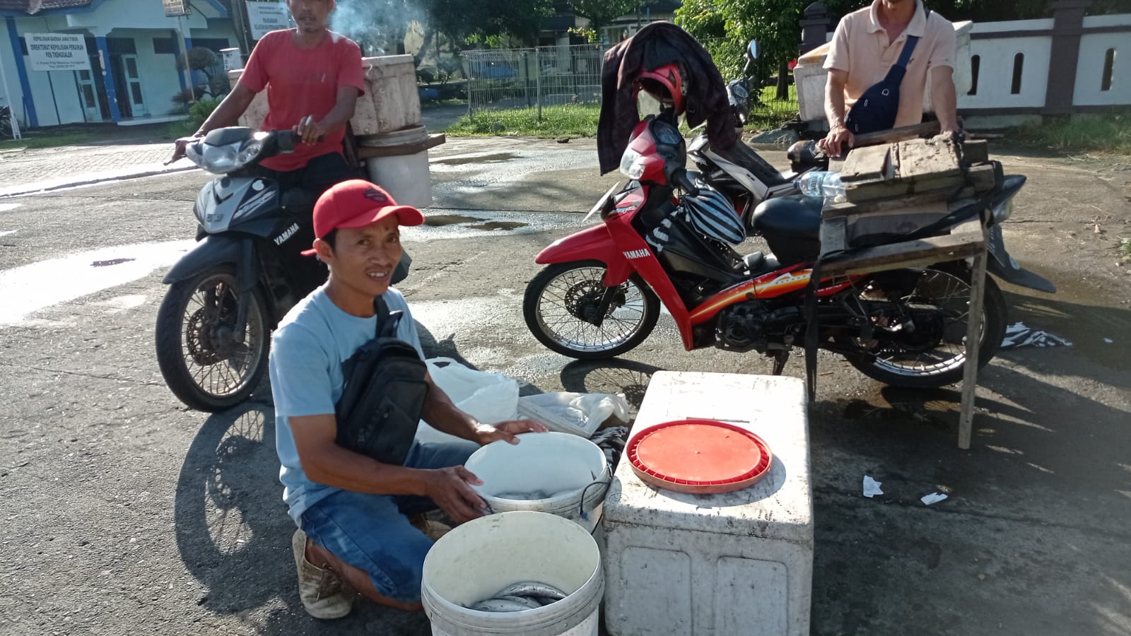 Pedagang Kecil Watulimo Terjepit Kartel Ikan, Stok Seret dan Harga Melonjak