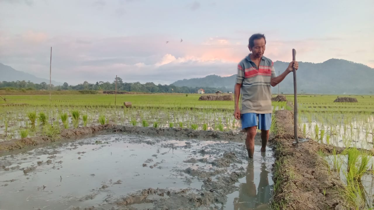 Air Irigasi Tercemar, Petani Trenggalek Terancam Gagal Panen