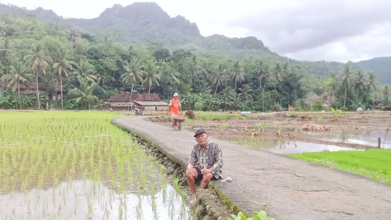 Merawat Padi dengan Weton: Tradisi Tua Petani Karangrejo Kampak Demi Panen Berlimpah