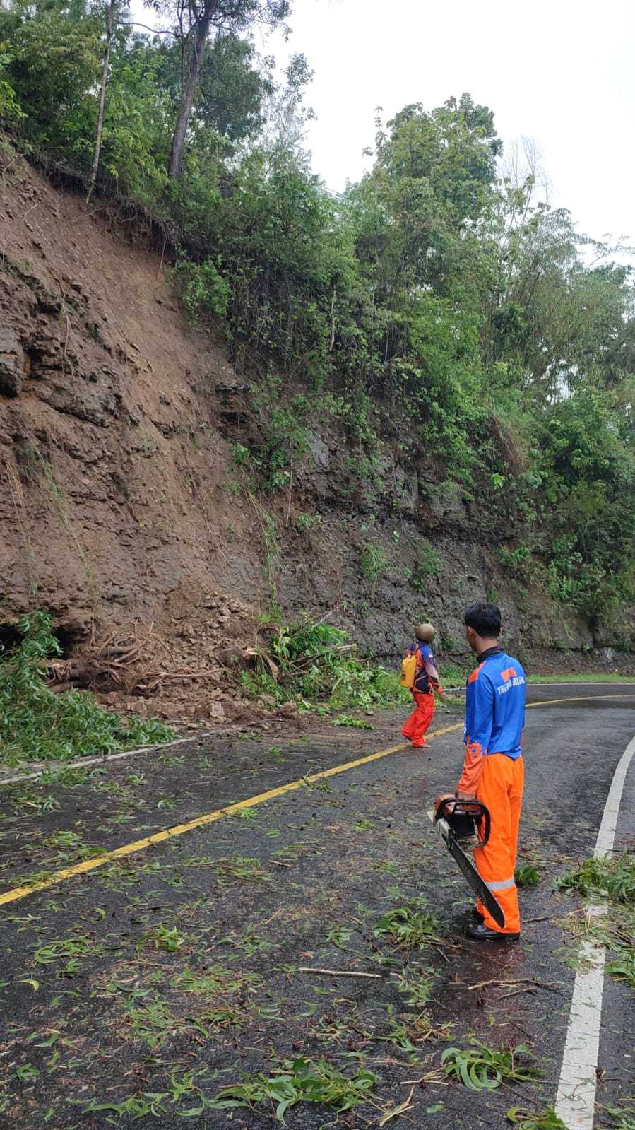 pohon-tumbang-dijalan-raya-panggul-dongko-ds-ngrencak.jpg