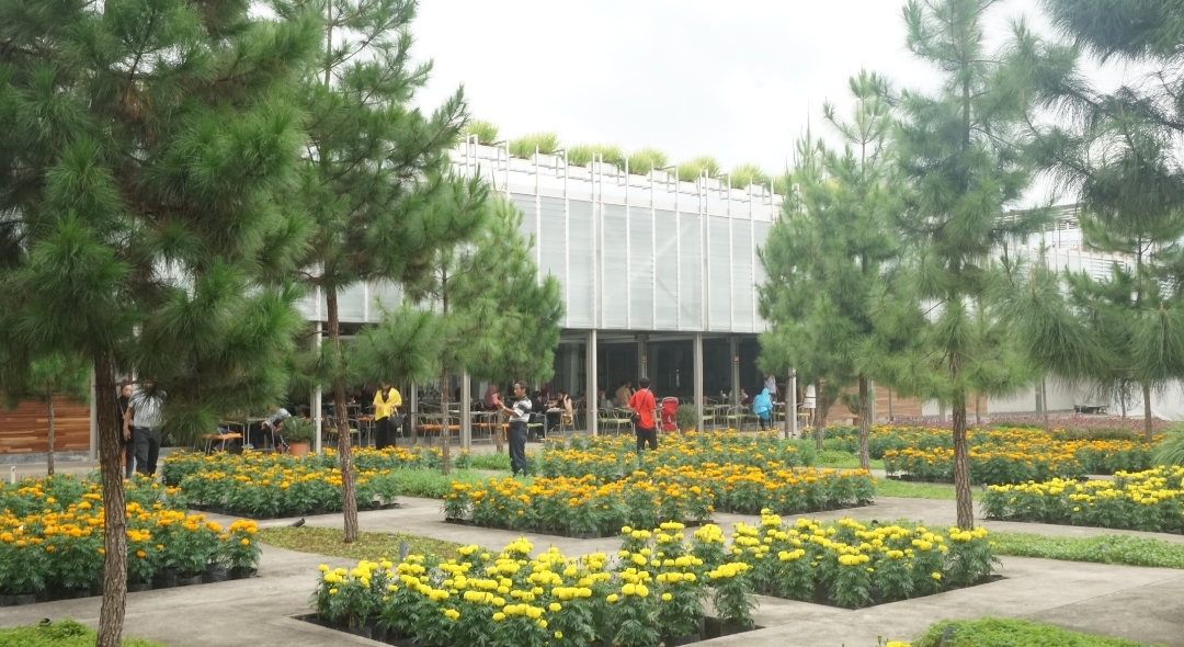 Rumah Atsiri Indonesia, Wisata Edukasi di Kaki Gunung Lawu