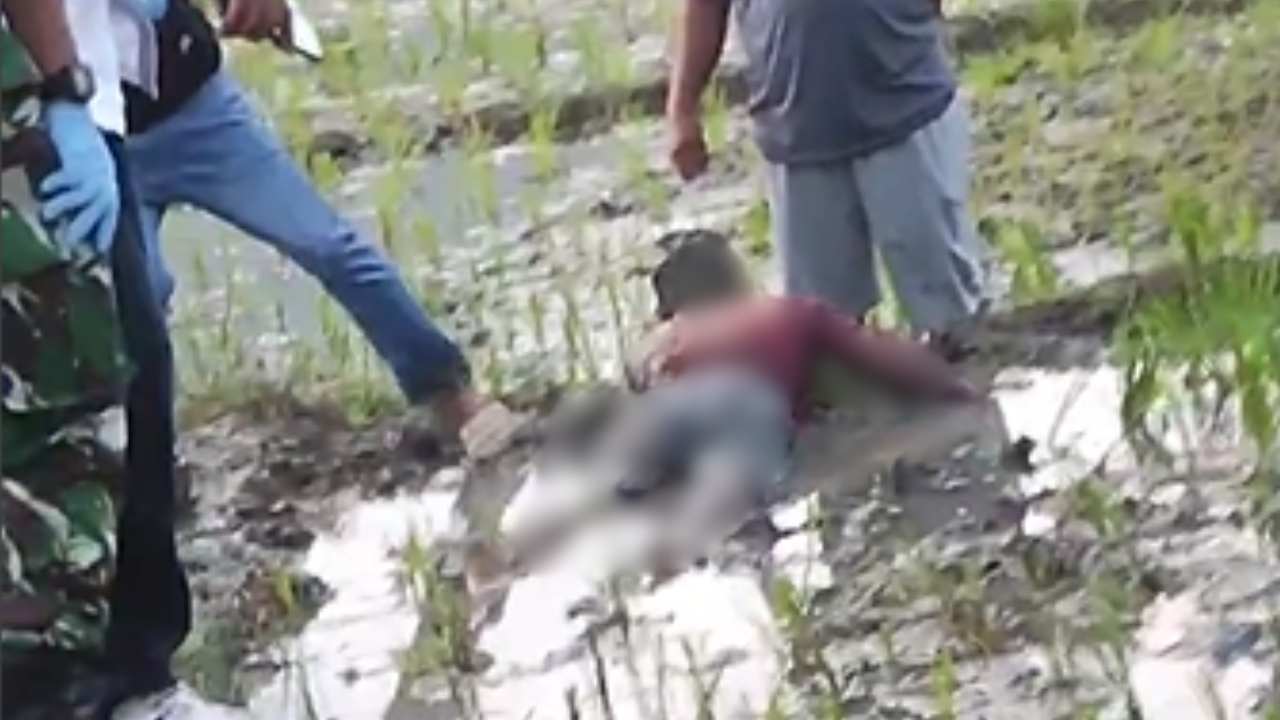 Niat Cari Bibit Padi, Pria Ditemukan Tewas di Sawah Trenggalek