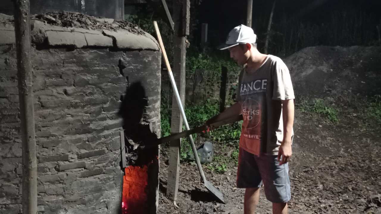 Melihat Produksi Minyak Daun Cengkeh di Trenggalek, Anjlok Drastis di Musim Hujan