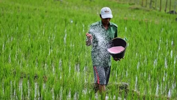 Belum Cukupi Kebutuhan Petani, Trenggalek Ajukan 40.405 Ton Pupuk Subsidi untuk 2025