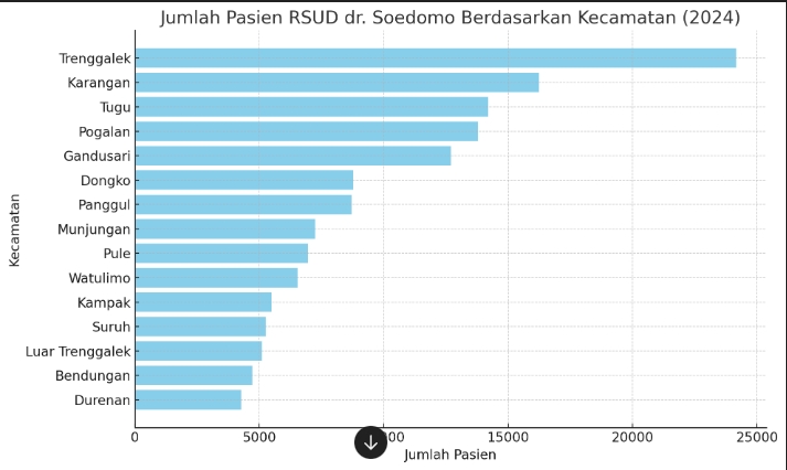 tabel jumlah pasien di rumah sakit dr soedomo trenggalek berdasarkan kecamatan