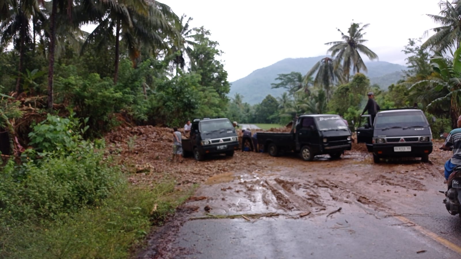 Longsor Tutup Jalur Lintas Selatan Pantai Cengkrong–Damas, Akses Lumpuh Total