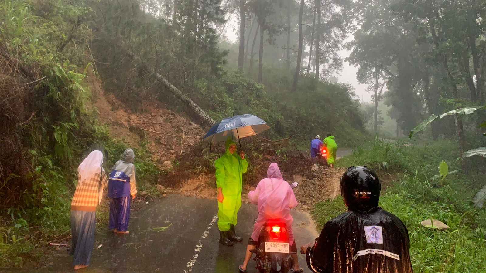 Hujan Dua Jam di Trenggalek, Bencana Longsor, Banjir dan Pohon Tumbang Terjadi