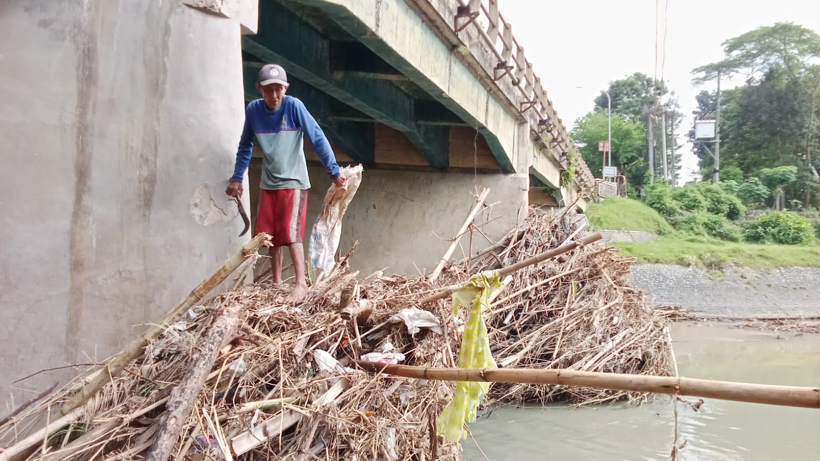 Pasca Banjir Surut, Warga Trenggalek Berburu Bambu di Bawah Jembatan Dawung