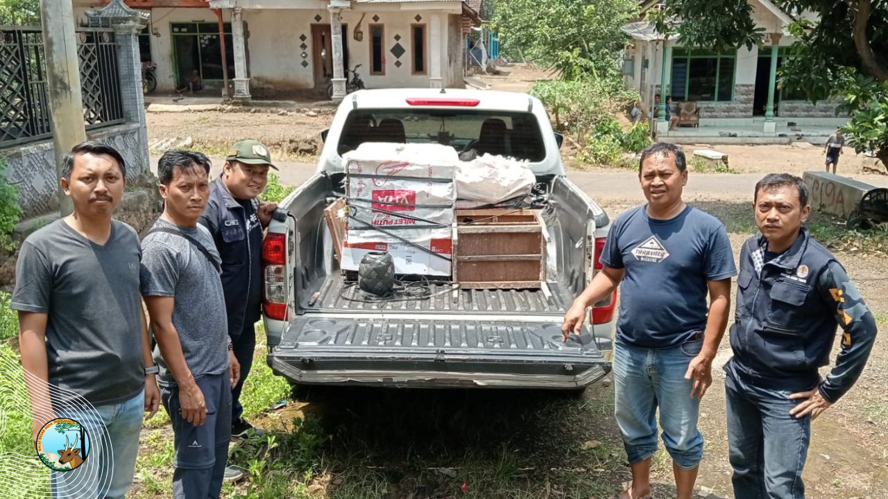 Barang bukti perdagangan ilegal satwa di Banyuwangi