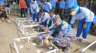 pasukan Kopaska TNi AL melakukan Transplantasi terumbu karang di Bangsring underwater Banyuwangi