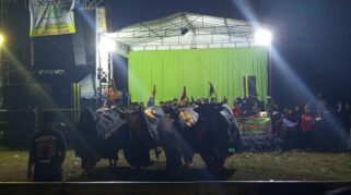 Seni Tradisional Bantengan, Selamatan Desa Tumpang