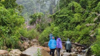 Bareskrim Polri Musnahkan 57,75 Hektare Ladang Ganja Tersembunyi di Aceh
