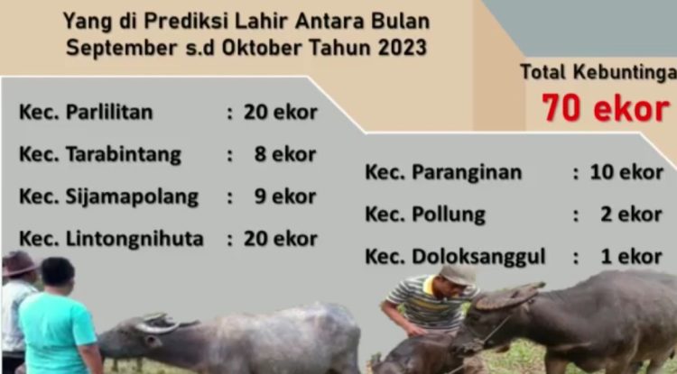 Dinas Peternakan Dan Perikanan Kabupaten Humbahas Tingkatkan Mutu ...