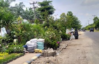 Para Pedagang Tanaman Hias Serobot Hak Pejalan Kaki dengan Menggunakan Area Trotoar Sebagai Lapak Jualannya