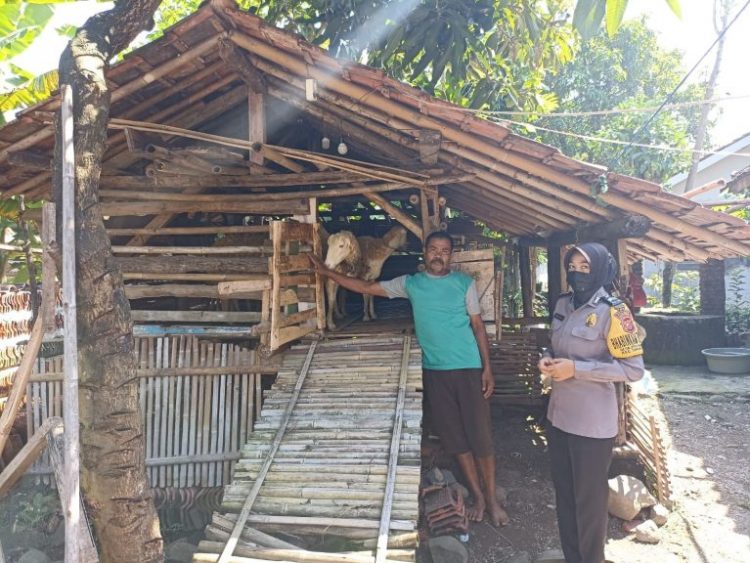 Personil Polsek jajaran Polres Majalengka bersama pemerintah Kecamatan dan dinas terkait, melakukan pemantauan dan monitoring ke lokasi peternakan sapi dan kambing