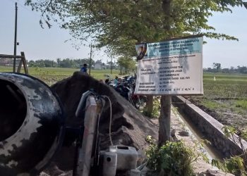 Pengerjaan program P3-TGAI di Desa Tambahmulyo Dukuh Jogan Kecamatan Gabus Kabupaten Pati - Jawa Tengah