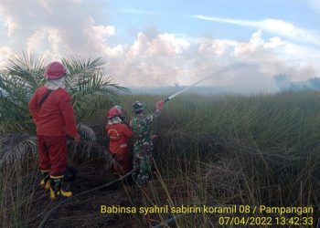 Babinsa Koramil 402-08/Pampangan Kodim 0402/OKI bersama Tim dari Manggala Agni Kabupaten OKI dan Babinkamtibmas membantu memadamkan kebakaran lahan milik Desa seluas ± 3 Ha di Desa Deling Kecamatan pangakalan Lampam Kabupaten OKI