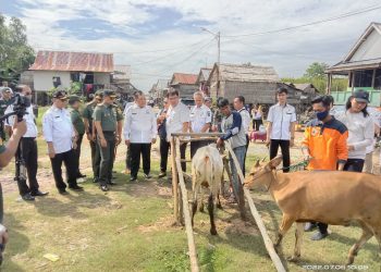 Danrem 044 GAPO Brigjen TNI M. Naudi Nurdika, S.I.P., M.Si.,M.Tr (Han) didampingi oleh Dandim 0402/OKI, Letkol Inf Hendra Saputra, S.Sos.,M.M.,M.I.Pol bersama rombongan meninjau langsung proses vaksinasi Penyakit mulut dan kuku (PMK)