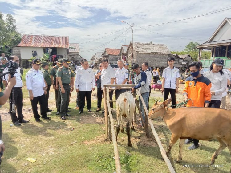 Danrem 044 GAPO Brigjen TNI M. Naudi Nurdika, S.I.P., M.Si.,M.Tr (Han) didampingi oleh Dandim 0402/OKI, Letkol Inf Hendra Saputra, S.Sos.,M.M.,M.I.Pol bersama rombongan meninjau langsung proses vaksinasi Penyakit mulut dan kuku (PMK)