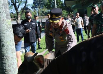 Polresta Bogor Kota telah menyerahkan Sapi untuk kurban dalam rangka Hari Raya Idul Adha kepada Yonif 315 Garuda dan Sat II Pelopor Brimob Kedung Halang