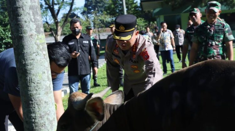 Polresta Bogor Kota telah menyerahkan Sapi untuk kurban dalam rangka Hari Raya Idul Adha kepada Yonif 315 Garuda dan Sat II Pelopor Brimob Kedung Halang
