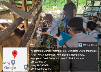 Monitoring terhadap hewan Sapi dan Kambing yang akan dikurbankan pada peringatan Hari raya Idul Adha 1443 H tahun 2022 Masehi