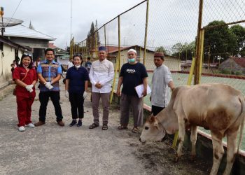 Polres Dairi Melaksanakan Penyembelihan hewan Qurban yang terdiri dari 7 ekor Sapi