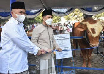 Plt Gubernur Jatim, Emil Elestianto Dardak menyerahkan sapi kurban