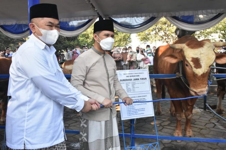 Plt Gubernur Jatim, Emil Elestianto Dardak menyerahkan sapi kurban