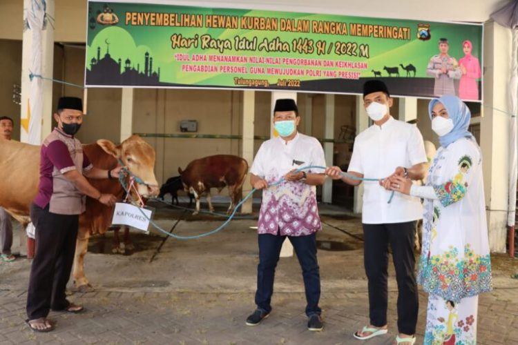 Polres Tulungagung melakukan penyembelihan 4 ekor sapi dan 22 ekor kambing