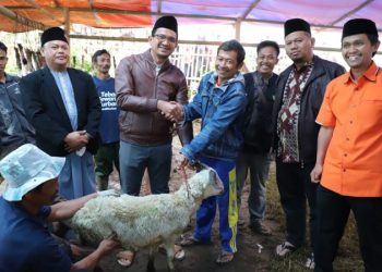 Wabup Garut saat meninjau pelaksanaan penyembelihan hewan kurban di Kampung Babakan Falah, Desa Karyamekar, Kecamatan Pasirwangi, Kabupaten Garut