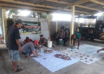 Polsek Padamara melaksanakan penyembelihan hewan kurban berupa 2 ekor kambing