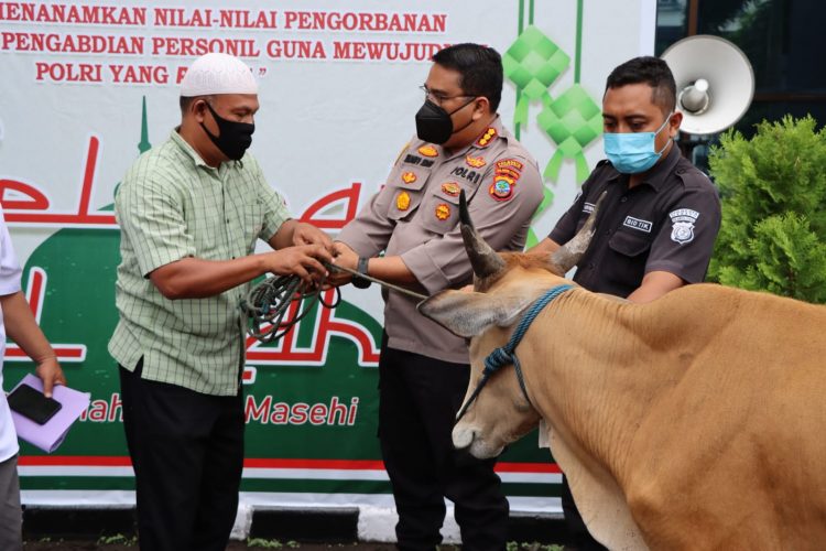 Kapolresta Manado Kombes Pol Julianto P. Sirait, S.H.,S.I.K menyerahkan hewan kurban secara simbolis kepada Panitia Hari Raya Idul Adha 1443 Hijriah Polresta Manado