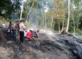 Rumah seorang nenek berusia 88 tahun di Dusun Buket Linteung, Desa Paya Pasi, Kecamatan Julok, Kabupaten Aceh Timur habis terbakar