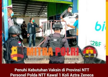 Sebanyak 1 Koli / 100 Vial Aztra Zeneca (AUS) tiba di Kupang pagi, Senin (18/7/22) sekitar pukul 06.05 Wita