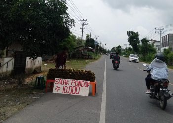 Pedagang buah-buahan yang Menjamur di Pinggir Jalan Nasional Lintas Sumatera, mulai dari Perbatasan Kota Lhokseumawe dengan Aceh Utara